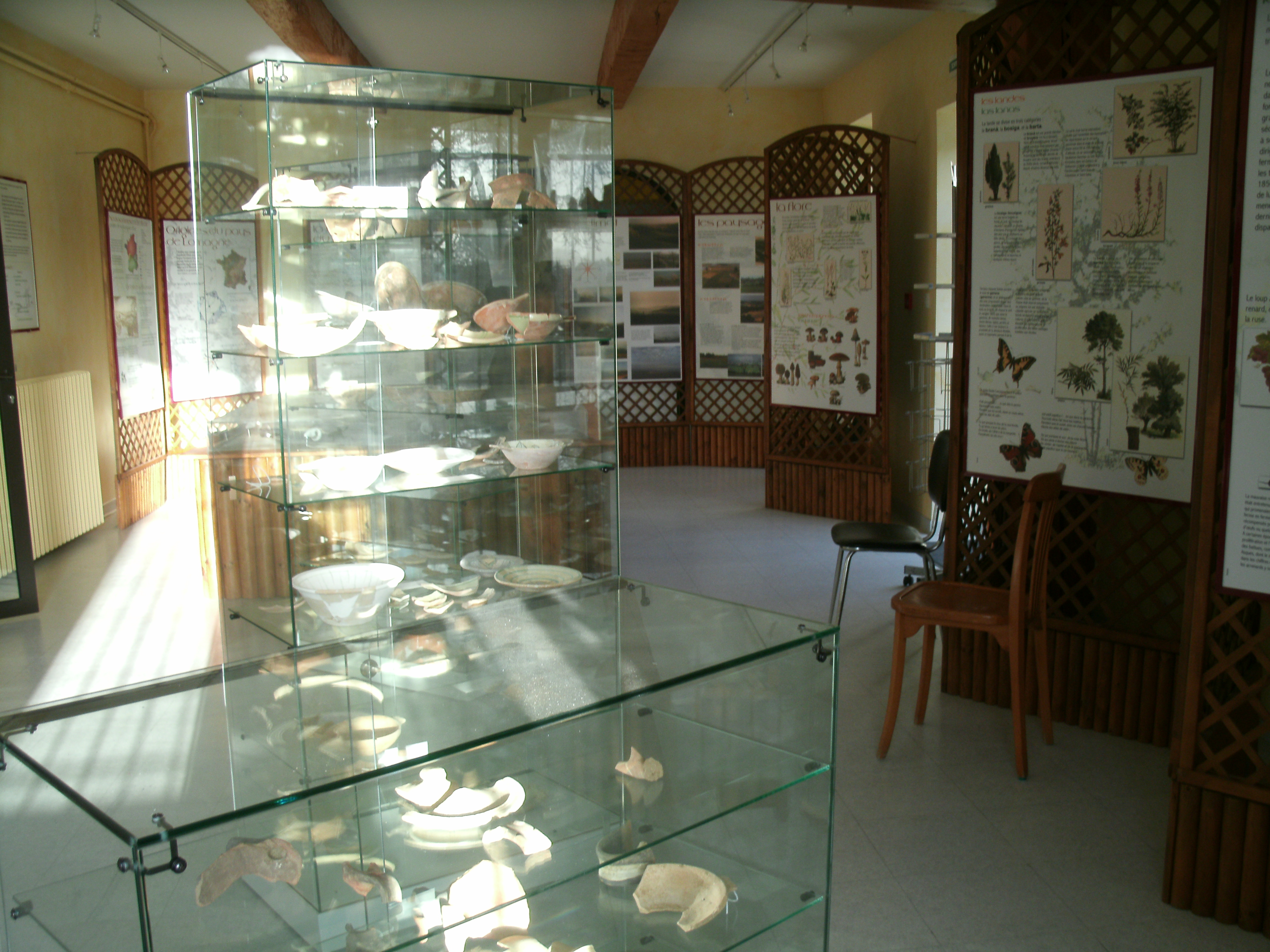     Exposition vitrines céramiques